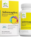 Terry Naturally Adrenaplex Adrenal Gland Function Supplement Glandular Support With Vitamins C & B6 Dietary Supplement To Support Healthy Adrenal Function 120 Capsules
