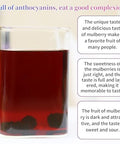 Wanhua Hall Premium Dried Black Mulberries Fruit Black Mulberry Tea No Sugar Added, No Additives, All Natural, Unsulfured Great for Desserts and Tea, Healthy Fruit Snack Ã©Â»â€˜Ã¦Â¡â€˜Ã¦Â¤Â¹Ã¥Â¹Â² Ã¦Â¡â€˜Ã¨â€˜Å¡280g/10oz