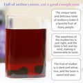 Wanhua Hall Premium Dried Black Mulberries Fruit Black Mulberry Tea No Sugar Added, No Additives, All Natural, Unsulfured Great for Desserts and Tea, Healthy Fruit Snack Ã©Â»â€˜Ã¦Â¡â€˜Ã¦Â¤Â¹Ã¥Â¹Â² Ã¦Â¡â€˜Ã¨â€˜Å¡280g/10oz