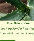 Minature 100% Aloe Vera Powder (Aloe Barbadenis) Pure Aloe Vera 8 Oz 227G