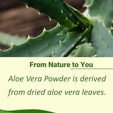 Minature 100% Aloe Vera Powder (Aloe Barbadenis) Pure Aloe Vera 8 Oz 227G