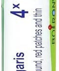 Boiron Berberis Vulgaris 4X For Skin Rash With Round Red Patches & Thin Flakes 80 Pellets
