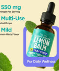 Gya Labs Lemon Balm Drops - Alcohol Free Lemon Balm Tincture Extract Liquid Drops For Digestion & Relaxation - Mix In Tea Coffee & More - 1 Fl Oz 42 Servings Non-Gmo