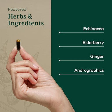 Gaia Herbs Pro Immune Activator Immune Support Supplement Features Ecea Ginger Root Elderberry & Andrographis Vegan Dairy & Gluten 40 Liquid Phytocaps (20 Servings)