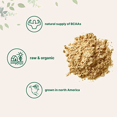 Micro Ingredients North America Grown Organic Pea Protein Powder 1Kg (22 Pounds)