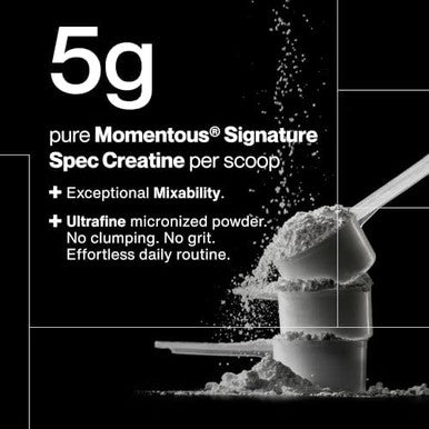 Momentous Creatine Monohydrate Powder 5g per Serving Unflavored | Supports Lean Muscle Strength Recovery and Cognitive Function NSF Certified for Sport Non-GMO and Gluten-Free (90 Servings)