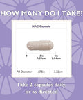 Celebrate Vitamins Nac (N-Acetyl Cysteine) Supplement, 600Mg Per Capsule, Gluten , Non-Gmo, 90 Capsules