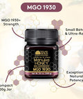 NatureÃ¢â‚¬â„¢s Gold Raw Manuka Honey, Certified High MGO | Authentic MGO, 100% Pure Genuine Traceable Hive to Home