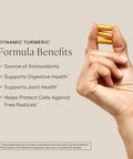 Stonehenge Health Dynamic Turmeric Curcumin With Ginger High Potency 1650 Mg Turmeric With 95% Curcuminoids & Bioperine 90 Vegetarian Capsules