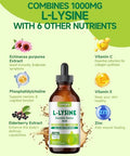 Lamginy L-Lysine 1000Mg Supplement Liposomal Lysine Liquid Drops For Adults Essential Amino Acid - Immune Support Skin & Lip Health Collagen Synthesis Vegan Non-Gmo & Gluten-Free 4 Fl Oz