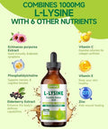 Lamginy L-Lysine 1000Mg Supplement Liposomal Lysine Liquid Drops For Adults Essential Amino Acid - Immune Support Skin & Lip Health Collagen Synthesis Vegan Non-Gmo & Gluten-Free 4 Fl Oz