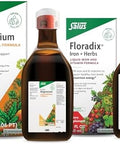 Floradix By Salus Magnesium (16.9 Oz) and Iron and Herbs (8.5 Oz) Bundle Magnesium For Bone Support Digestive Health and More Iron Supplement For Healthy Energy Support