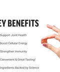 Force Factor Better Turmeric Joint Support Supplement For Extra Strength Joint Health & Smarter Greens Superfood Chews Greens And Superfoods With Probiotics Antioxidants