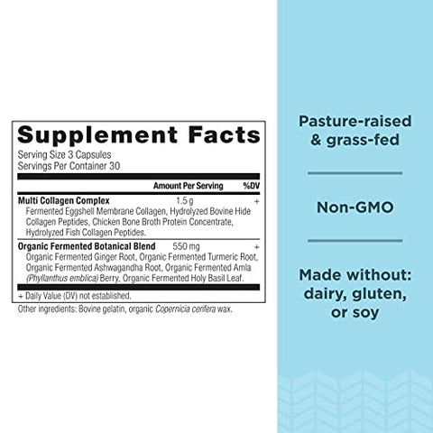 Ancient Nutrition Collagen Peptides Pills Hydrolyzed Multi Collagen Supplement Types I Ii Ii V & X Supports Healthy Skin And Nails Gut Health And Joints 90 Capsules