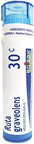 Boiron Ruta Graveolens 30C (Pack Of 5) Homeopathic Medicine For Eye Strain