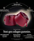 Wellneum Collagen Peptides Gummies Sugar Free 3000Mg Multi Collagen Blend For Hair Skin & Nails Support + 1500Mg Keratin + 3000Mcg Biotin Hyaluronic Acid Vitamin C & Zinc 60 Gummies (Packaging May Vary)