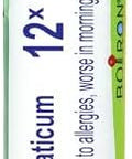 Boiron Natrum Muriaticum 12X For Runny Nose Due To Allergies 80 Pellets