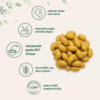 Micro Ingredients Ginger Root With Mct Oil 360 Softgels Fresh Ginger Root Extract Herbal Supplements For Women & Men Non-Gmo Gluten Free Soy Free
