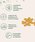 Micro Ingredients Riboflavin Vitamin B2 400Mg Per Serving 240 Mini Tablets Essential Vitamin B Supplement B Vitamins For Energy Production Easy To Swallow Non-Gmo