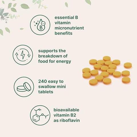Micro Ingredients Riboflavin Vitamin B2 400Mg Per Serving 240 Mini Tablets Essential Vitamin B Supplement B Vitamins For Energy Production Easy To Swallow Non-Gmo