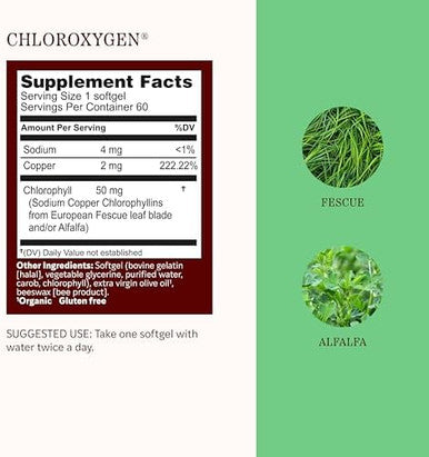 Herbs Etc. ChlorOxygen Chlorophyll Concentrate Softgels High Potency Chlorophyll for Detoxification Support