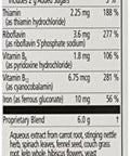 Floradix Iron Herbs 17 Fl Oz