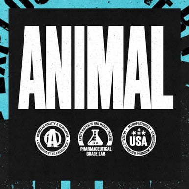 Animal Juiced Amino Acids Bcaa Powder Eaa Matrix Plus Hydration With Electrolytes And Sea Salt Anytime Recovery And Improved Performance Fruit Punch Flavor 30 Servings