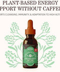 Herbs Etc. ChlorOxygen Chlorophyll Concentrate Mint Alcohol Free Liquid Extract Liquid Chlorophyll Drops
