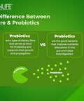 Inlife Prebiotic And Probiotic Supplement For Gut Health Lactobacillus Bacteria Probiotics For Women Men 60 Capsules