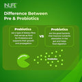 Inlife Prebiotic And Probiotic Supplement For Gut Health Lactobacillus Bacteria Probiotics For Women Men 60 Capsules