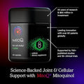 Mitoq +Joint Advanced Coq10 Antioxidant Supplement - Contains Mitoquinol Mesylate & Green Lipped Mussel Omega Oil Extract - Supports Healthy Joint Mobility And Cell Vitality (60 Softgel Capsules)