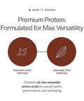 Gainful Everyday Plant Protein Powder & Sweet Treat Flavor Bundle Plant 14 Servings 23G