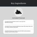 Cymbiotika Activated Charcoal Liquid Supplement Packets From Coconuts For Bloating Gut Health & Digestive Support Helps Detox Vitamin E Lemon Cream Flavor Vegan 26 Pack