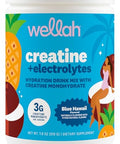 Wellah Creatine Electrolytes Powder (Blue Hawaii) 30 Servings - Hydration Drink Mix With 3G Of Creatine Monohydrate