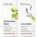 Gya Labs Cinnamon Bark & Lavender Essential Oil For Diffuser Set 034 Fl Oz