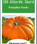 10 Dills Atlantic Giant Pumpkin Seeds for Planting Non GMO Heirloom Seeds | NON GMO, Heirloom Seeds, Fresh Garden Seed