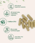 Micro Ingredients Fruit And Veggies Supplement With Probiotics 240 Vegetarian Capsules 80 Super Greens & Fruits Complex Immune Gut & Digestive Health Support