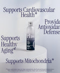 Rho Nutrition Liposomal Coq10 High-Absorption Liquid Coenzyme Q10 For Heart Health Cellular Energy & Antioxidant Support Supports Healthy Aging Vegan Sugar-Free Non-Gmo 6 Fl Oz 30 Servings