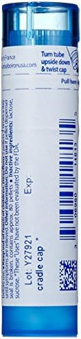 Boiron Homeopathic Medicine Calcarea Carbonica 30C Pellets 80Count Tubes (Pack Of 5)