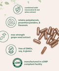 Micro Ingredients Grape Seed Extract 240 Capsules 3-In-1 Antioxidant Blend With Resveratrol & Red Wine Extracts Max Strength Polyphenols Supplement Non-Gmo