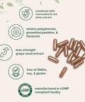 Micro Ingredients Grape Seed Extract 240 Capsules 3-In-1 Antioxidant Blend With Resveratrol & Red Wine Extracts Max Strength Polyphenols Supplement Non-Gmo