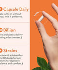 Garden Of Life Dr. Formulated Probiotics Once Daily - 30 Billion Cfu - Daily Probiotic For Gut Health & Immune Support 30 Vegetarian Capsules