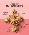 Purely Elizabeth Ancient Grain Granola, Certified Gluten-free, Vegan & Non-GMO | Coconut Sugar | Delicious Healthy Snack | Cranberry Pecan | 12oz