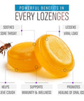Berringa Australian Manuka Honey Lozenges, Blueberry Cinnamon, MGO 900+, 5.3 oz, 30 count