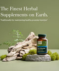 Gaia Herbs Saw Palmetto Supports Healthy Prostate Function For Men Contains Saw Palmetto And Sunflower Seed Lecithin To Support Men'S Health 60 Vegan Liquid Phytocapsules (30Day Supply)