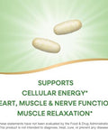NatureS Way Krebs Magnesium Potassium Complex Cellular Energy Support With Magnesium Lysinate and Malate And Potassium Citrate Vegan Gluten and Dairy 120 Tablets (Packaging May Vary)