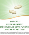 Nature'S Way Krebs Magnesium Potassium Complex Cellular Energy Support With Magnesium Lysinate & Malate And Potassium Citrate Vegan Gluten & Dairy Free 120 Tablets (Packaging May Vary)
