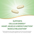Nature'S Way Krebs Magnesium Potassium Complex Cellular Energy Support With Magnesium Lysinate & Malate And Potassium Citrate Vegan Gluten & Dairy Free 120 Tablets (Packaging May Vary)