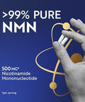 Nobi Nutrition Nmn Supplement 500Mg 99% Pure Nad+ Precursor For Cellular Energy Longevity Repair And Healthy Aging Support Thirdparty Tested & Nongmo Nicotinamide Mononucleotide 60 Nmn Capsules