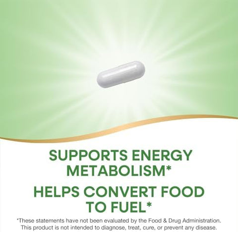NatureS Way Vitamin B1 High Potency 100 Mg Thiamin Per Serving Thiamin Hcl Supports Energy Metabolism Gluten 100 Capsules (Packaging May Vary)